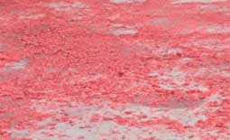 惠州鑫遠程自動化【前處理包銅箔脫鋁箔一體機】初八開工啦！！